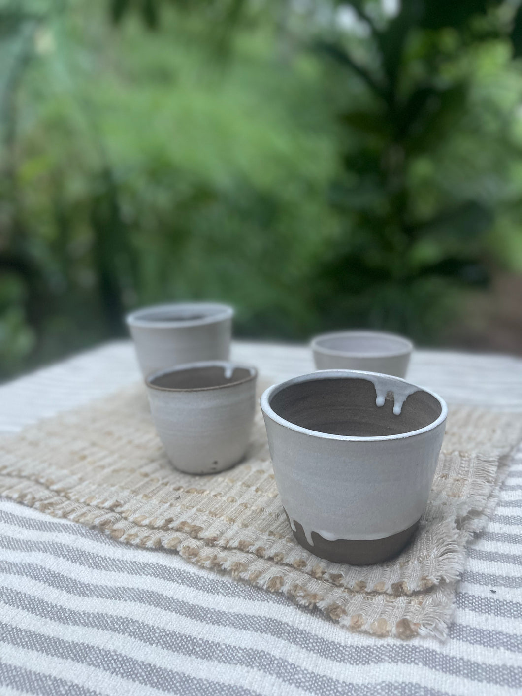 Seedling Pots